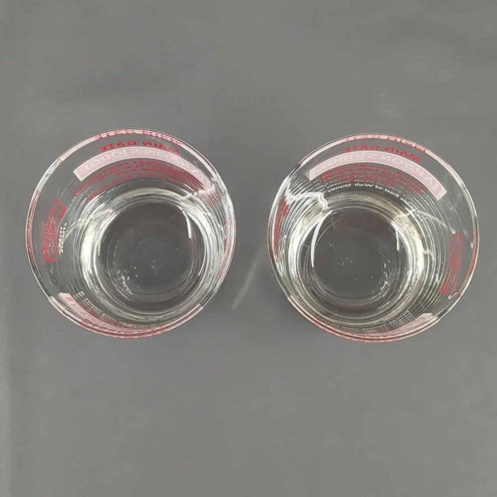 Vintage Larsons Lodge Kissimmee Florida Souvenir Glasses Set of 2 Disney World